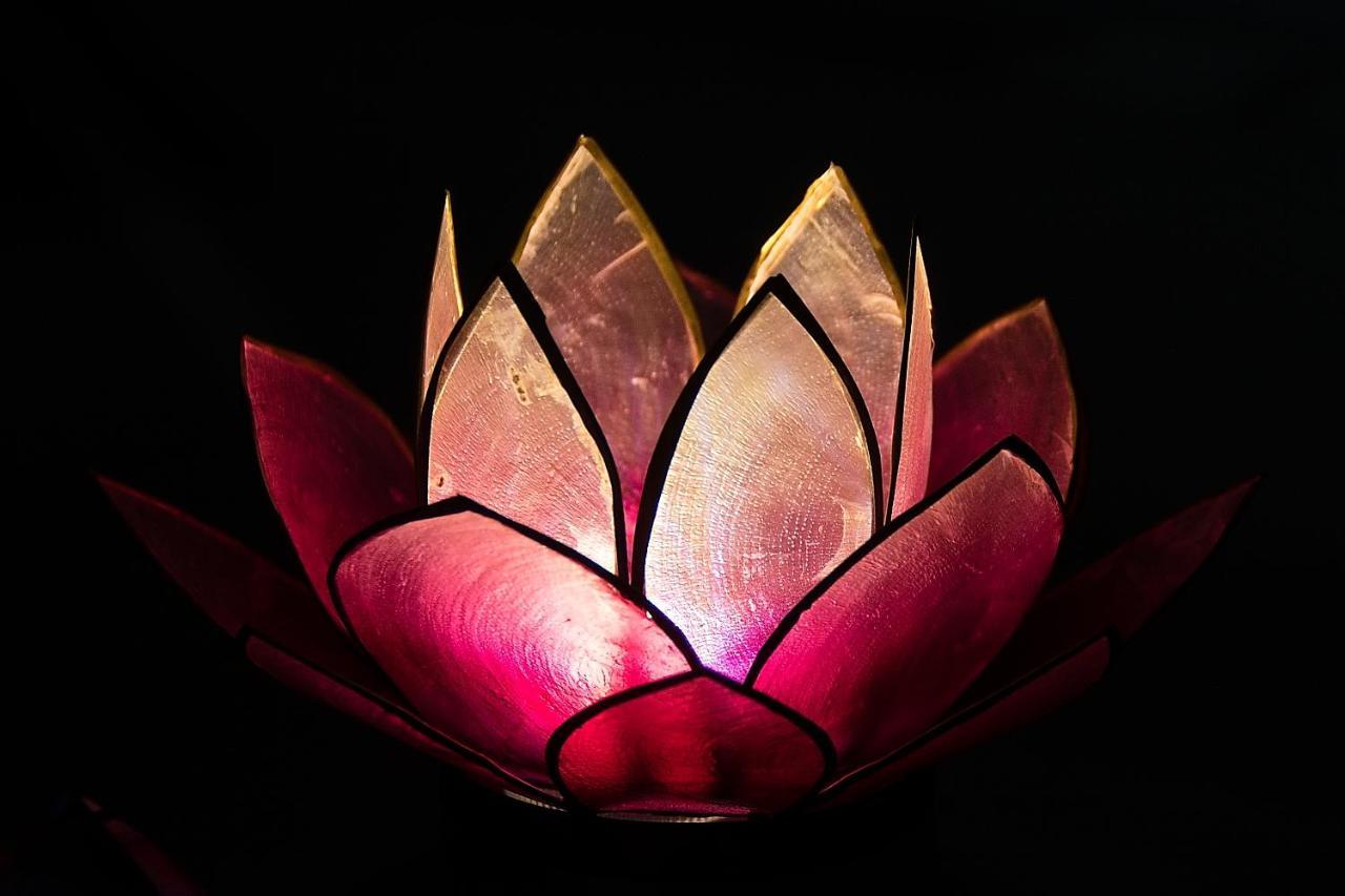 Pink Lotus Apartment Wenen Buitenkant foto